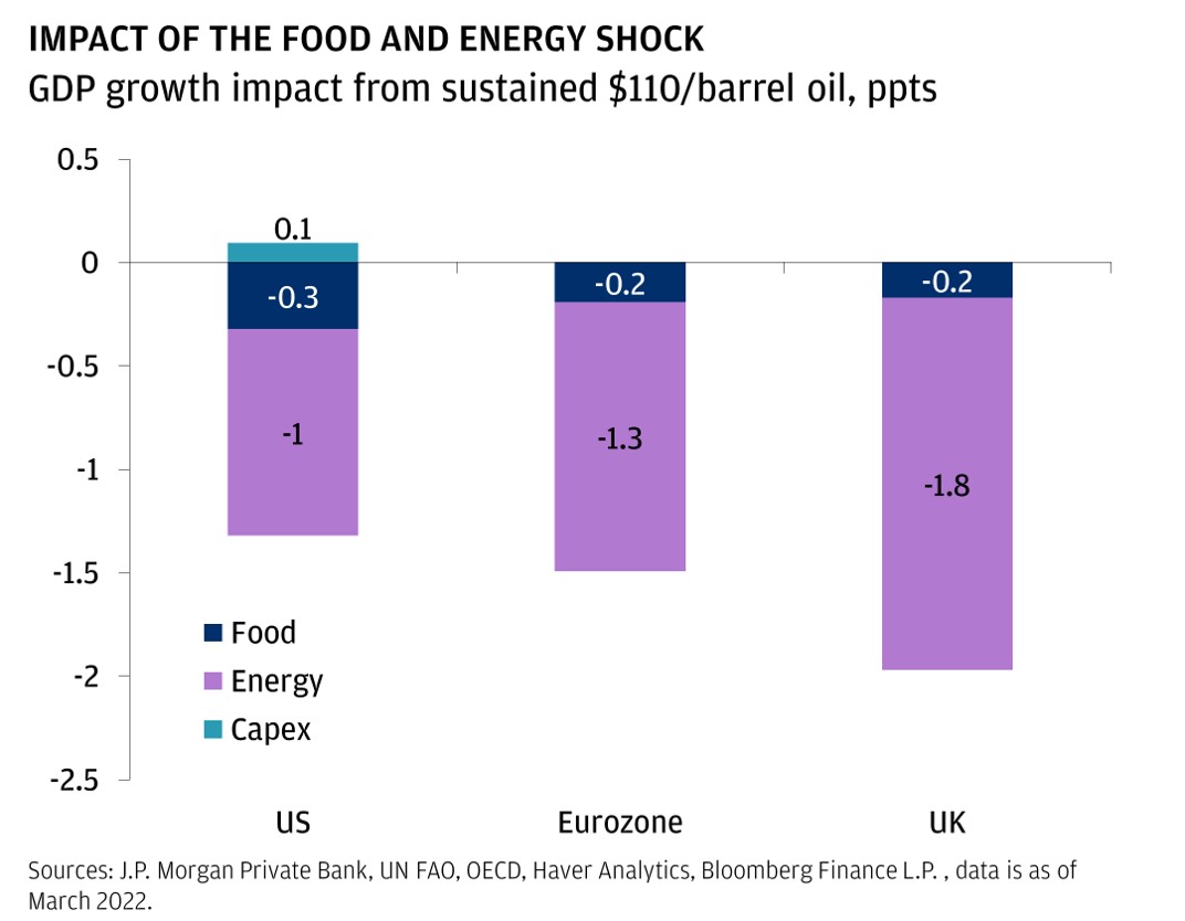 IMPACT OF THE FOOD AND ENERGRY SHOCK