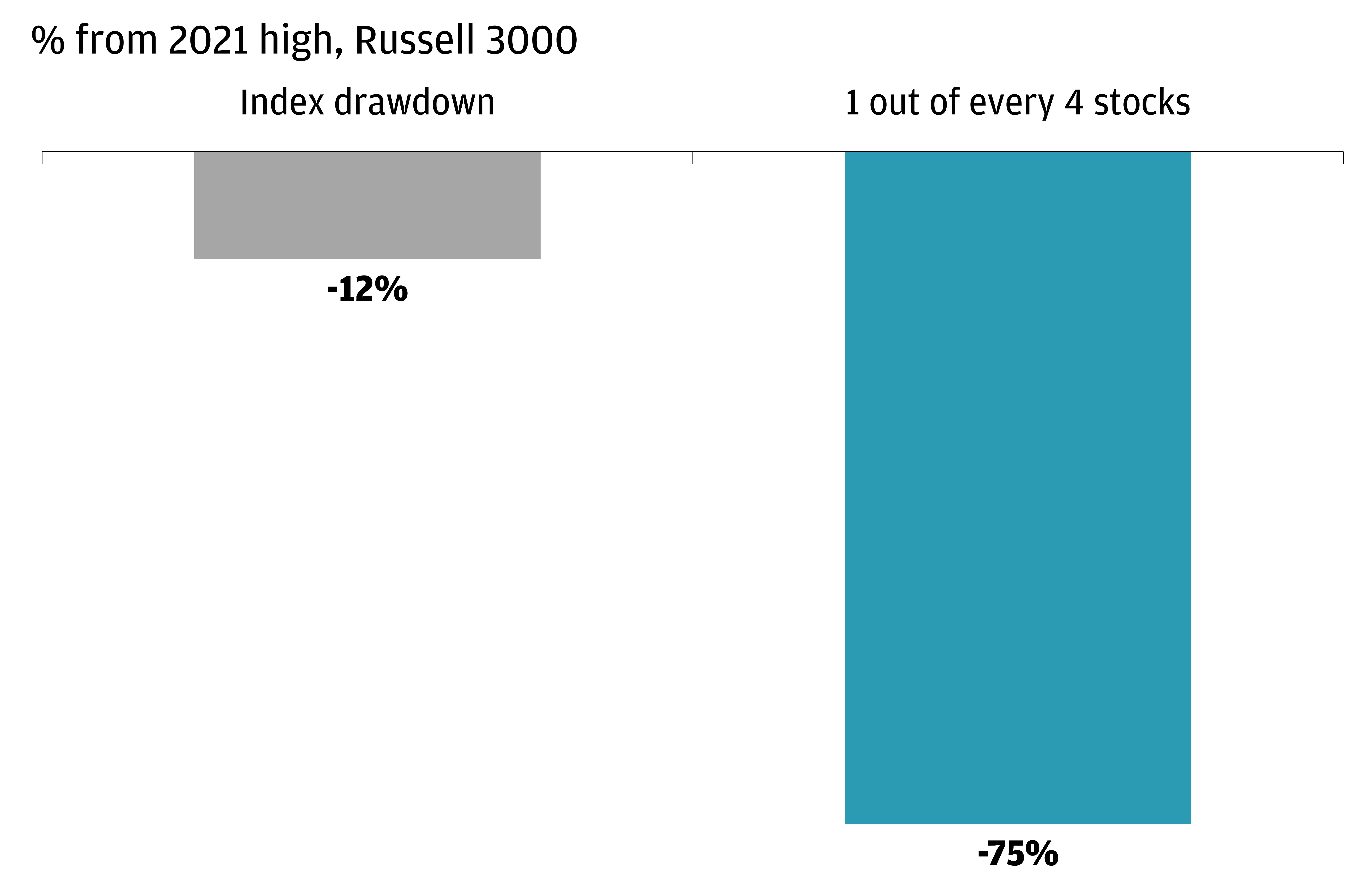 The chart describes the index drawdown of Russell 3000 and the 1 out of every 4 stocks drawdown of Russell 3000 from the 2021 high. 