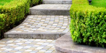 Stone steps with shrubs and grass on the sides.