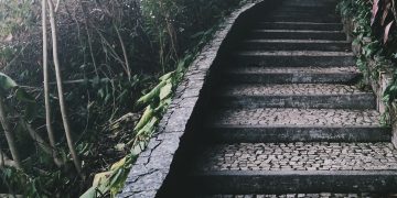 passing-the-torch-life-insurance-in-your-estate-plan