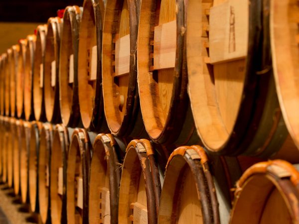 Wine barrels in a row.