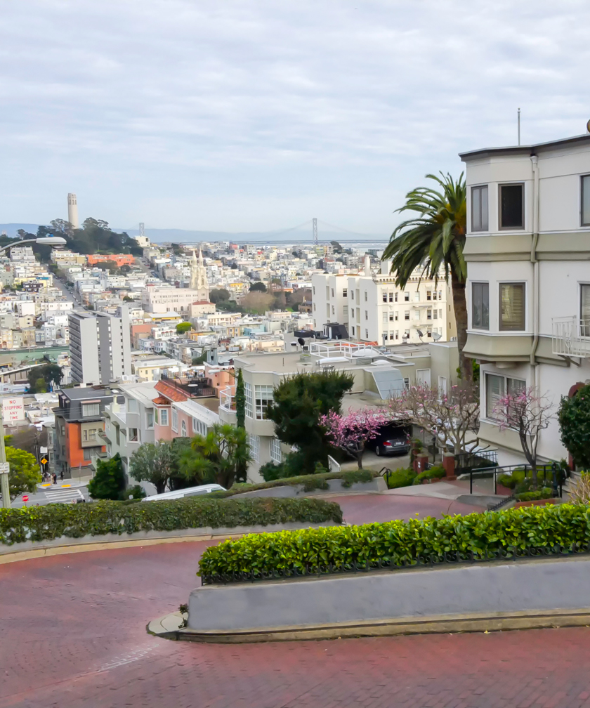Photograph of Lombard St.
